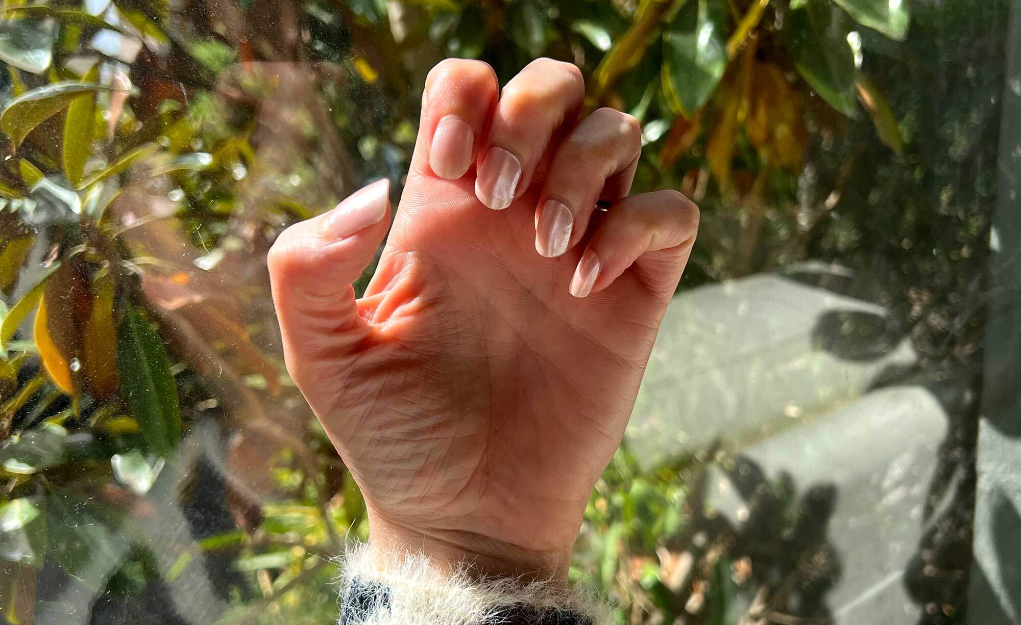 rose garden semi-cured gel nails on hand with foliage green background
