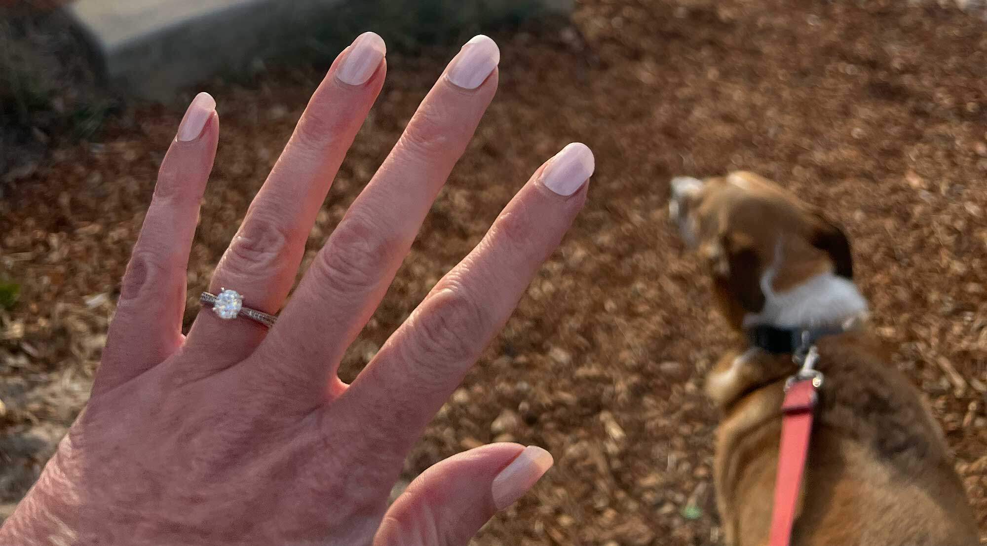 semi-cured gel nails rose garden by the beach|Rose garden Semi-cured gel nails feature an image showing 3 sizes snapshot on white background