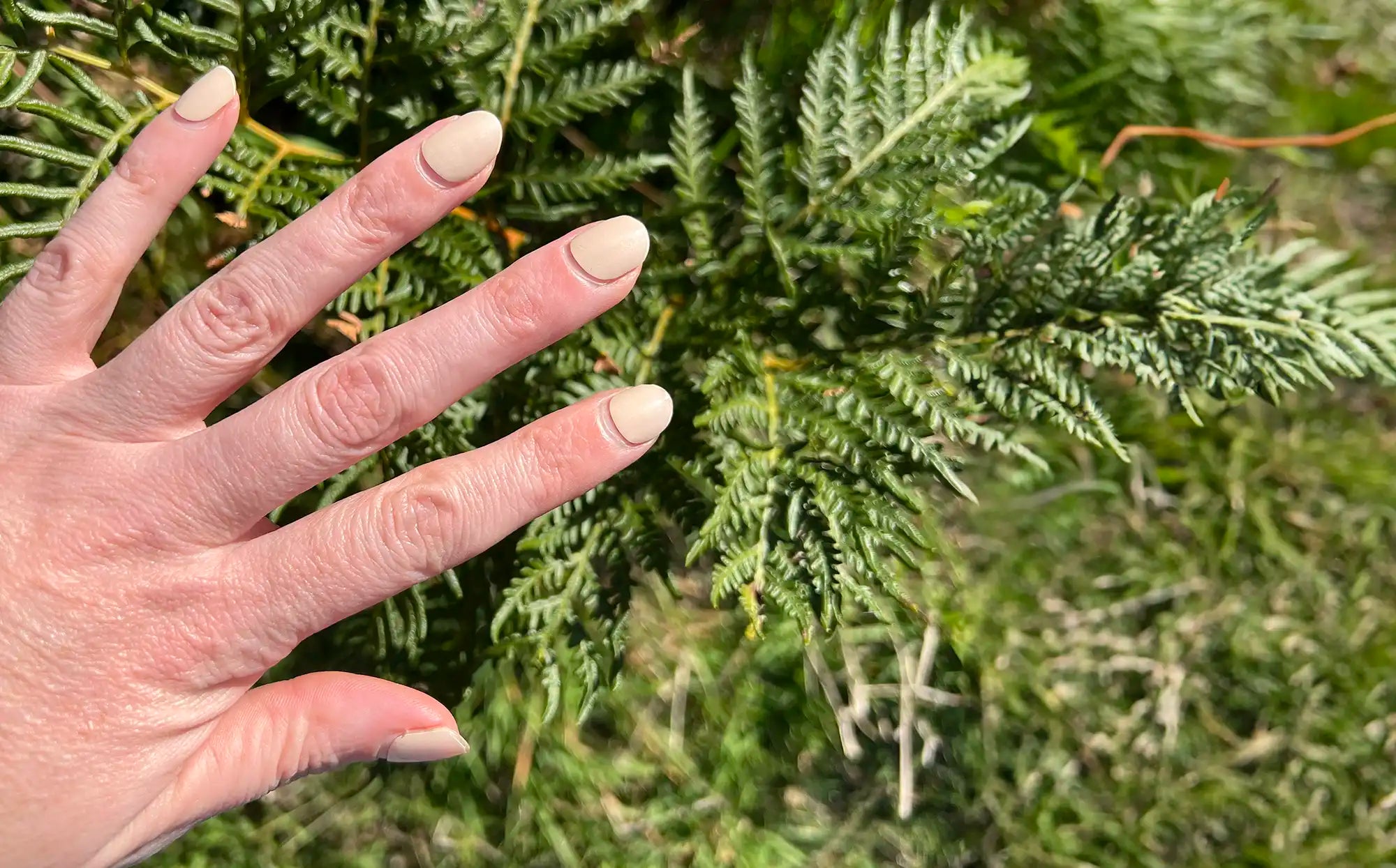 Eco-Friendly Beauty: Why Semi-Cured Gel Nails Are a Sustainable Choice