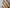 UV-Free Gel Nail Wraps – Pixie Dust