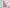 UV-Free Gel Nail Wraps – Hot Pink